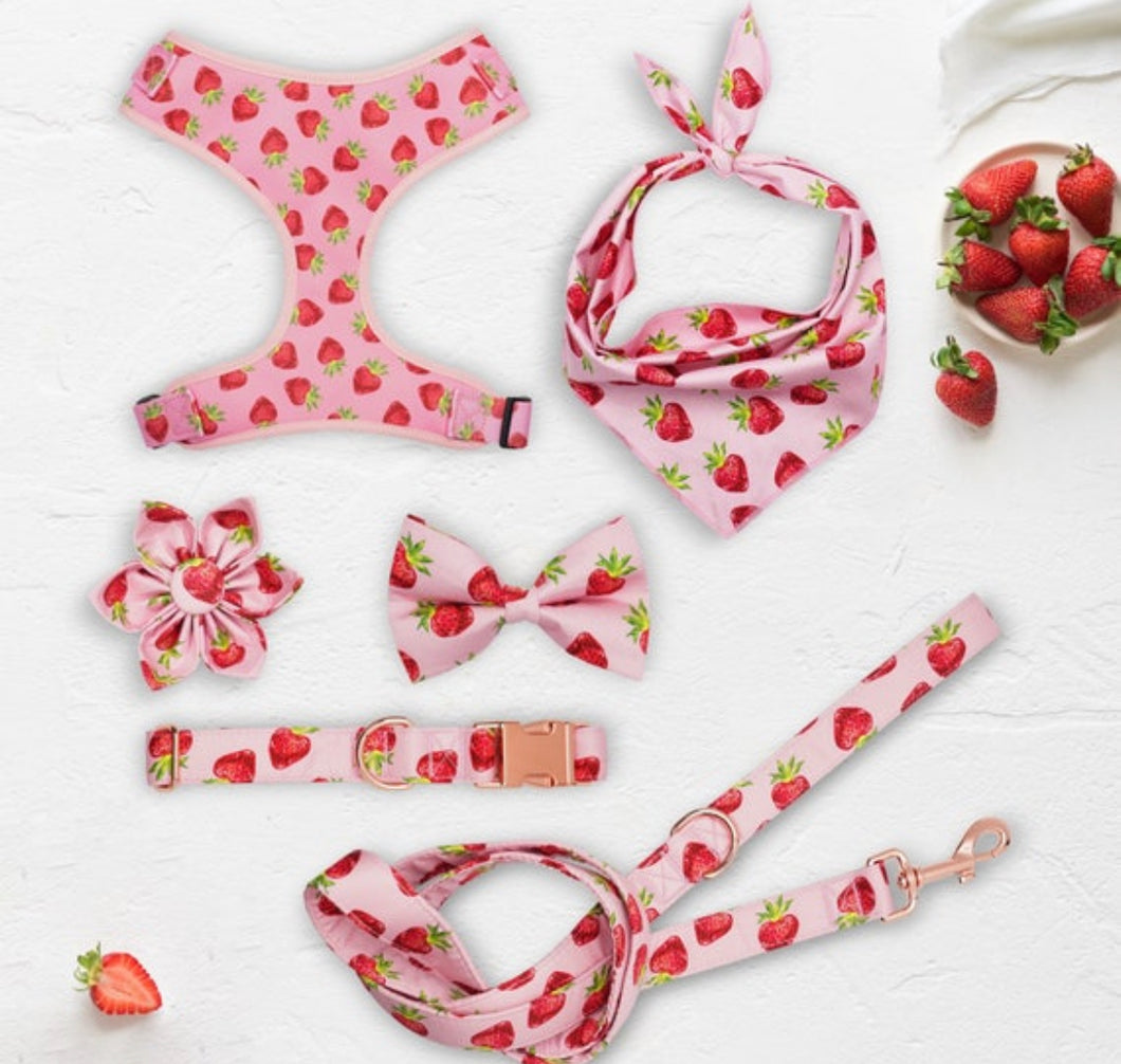 Strawberries ‘n’ Cream Premium Bundle: Leash, Harness, Flower Collar And Girly Bow Collar - GiftyDogStore