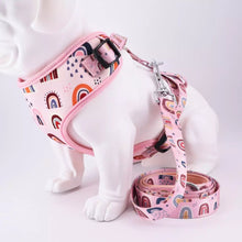 Load image into Gallery viewer, Rainbow Trends Mega Bundle : Leash, Harness, And Bowtie/Girly Bow Collar - GiftyDogStore
